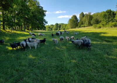 Muskö Gårdsbutik, Björkdals gård